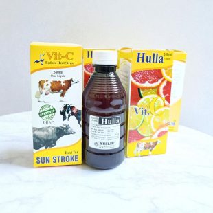 Hulla Vit C Syrup 240ml